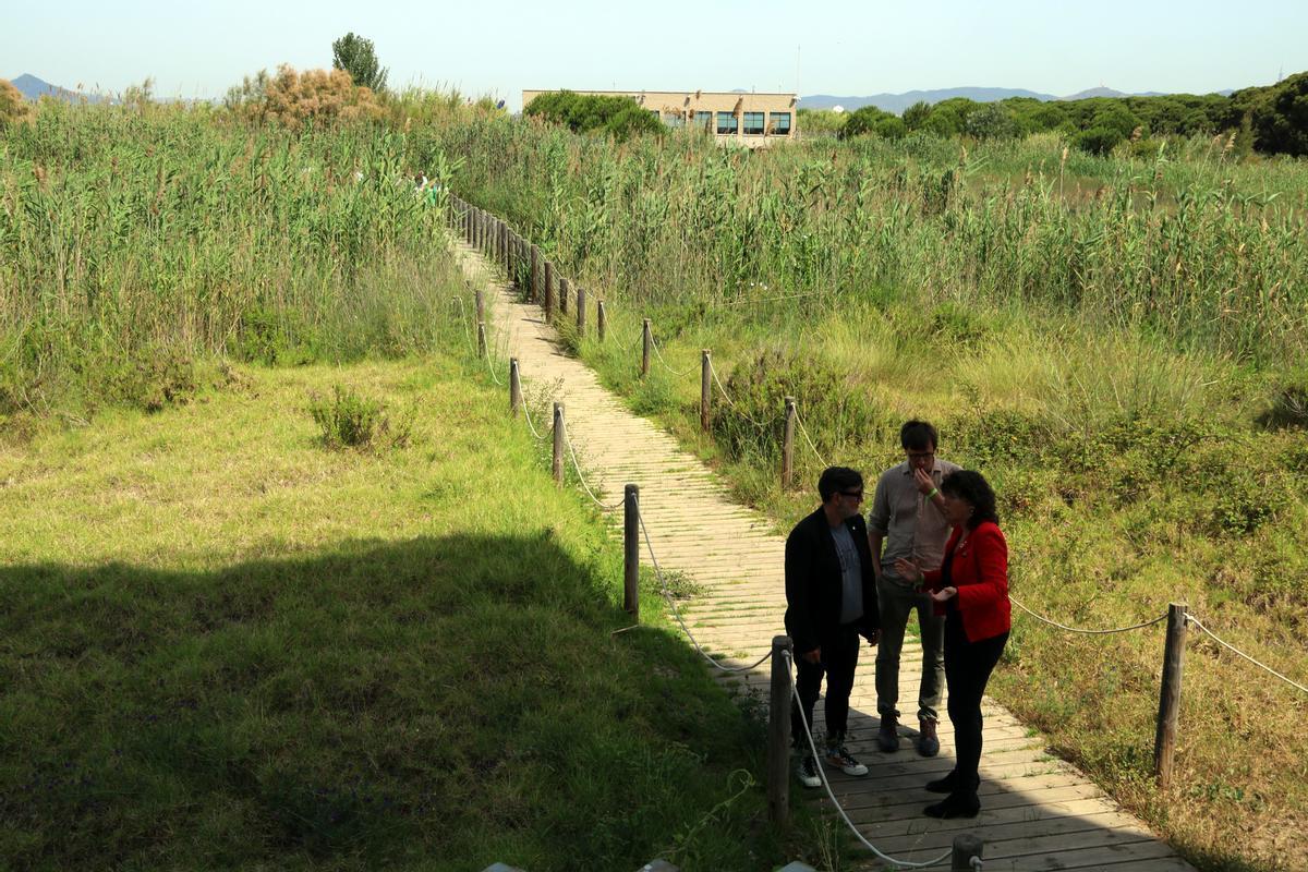 Els empresaris agrícoles del Baix Llobregat acusen el Govern d’«inacció» davant de possibles inundacions Els empresaris agrícoles del Baix Llobregat acusen el Govern d’«inacció» davant de possibles inundacions