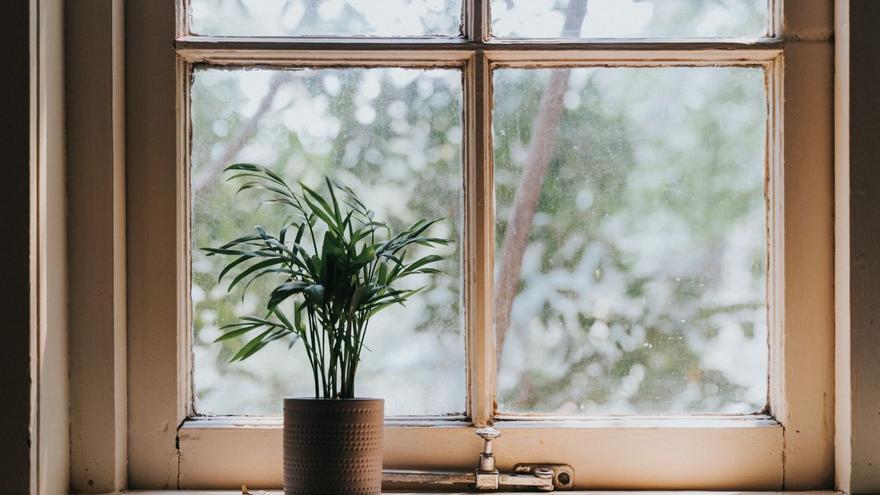 La razón por la que la gente está poniendo papel de aluminio en la ventana