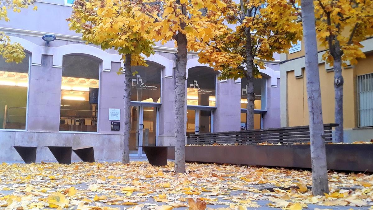 Fulles de tardor a la plaça Palmira Jaquetti.