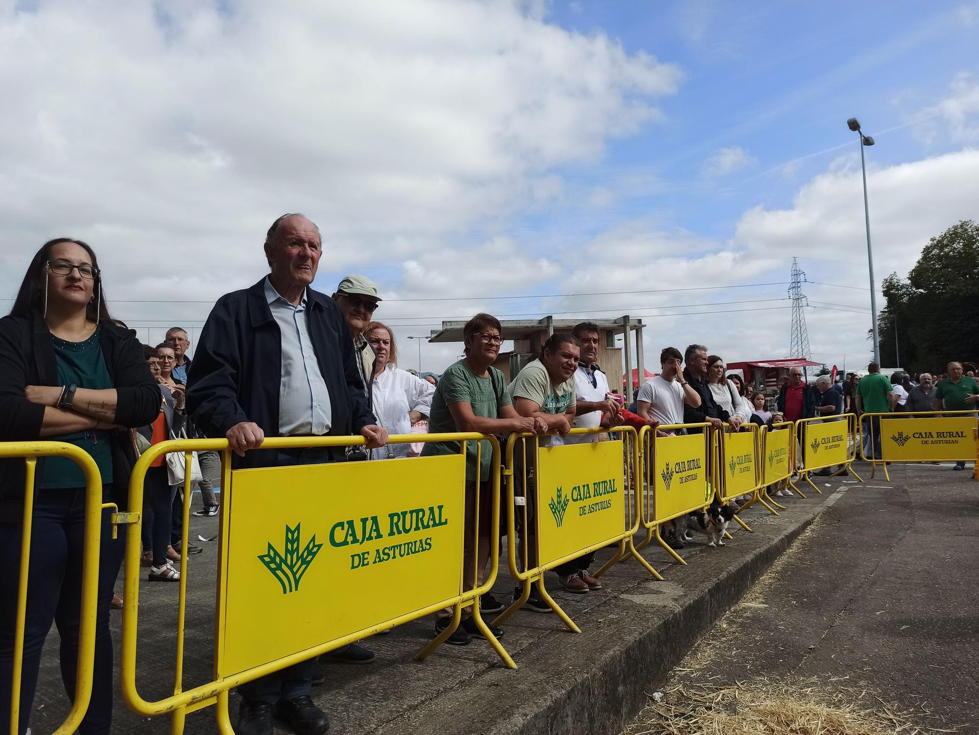 Así fue la última jornada de Agrosiero