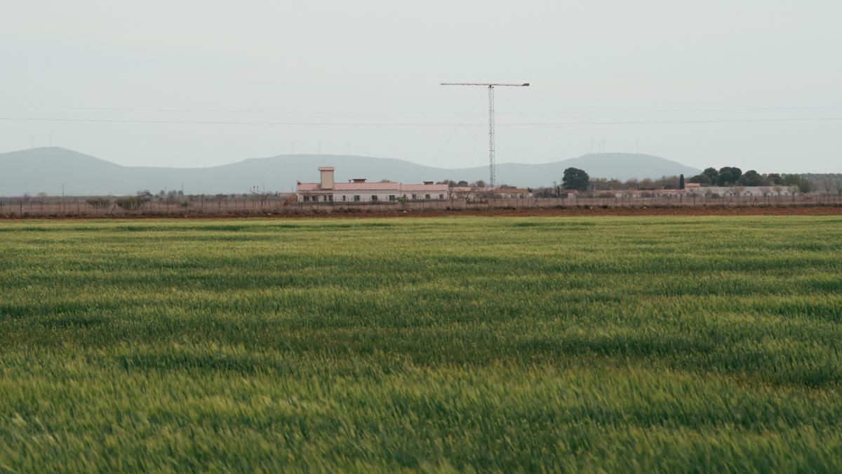 Zonas de barracones en la Finca El Doctor de Ciudad Real. 