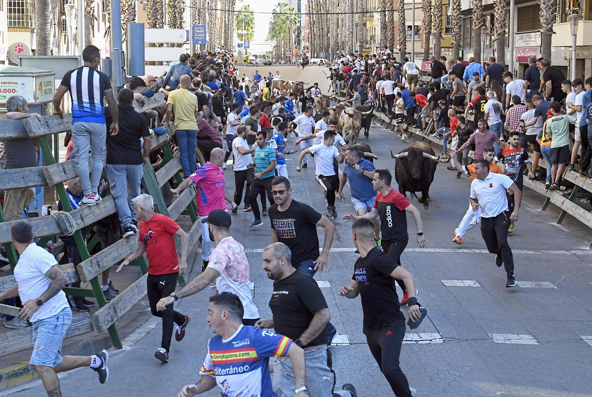 Las mejores imágenes de la jornada festiva en Vila-real