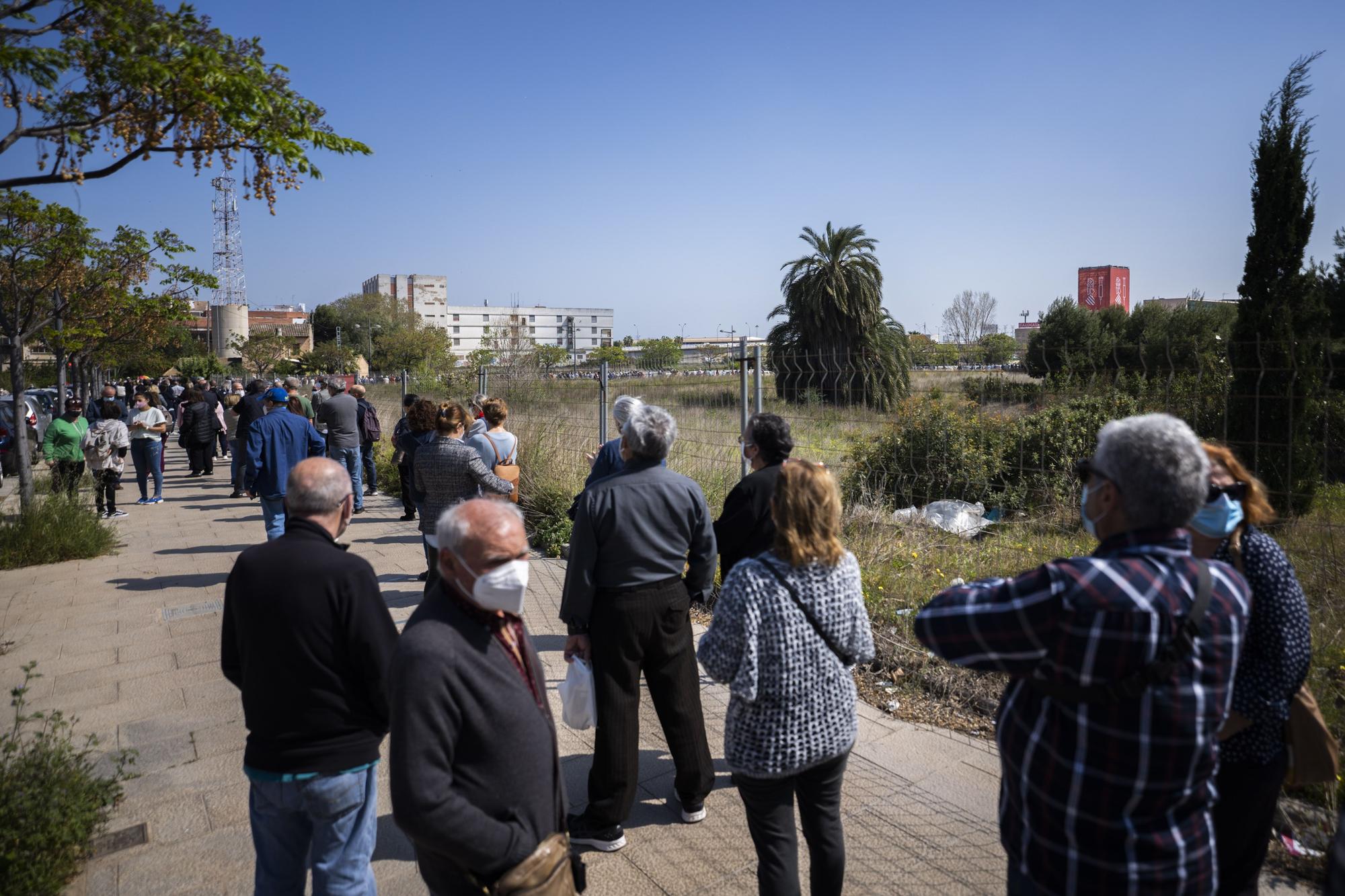 Largas colas al sol para vacunarse contra la COVID-19 en el hospital de campaña de La Fe