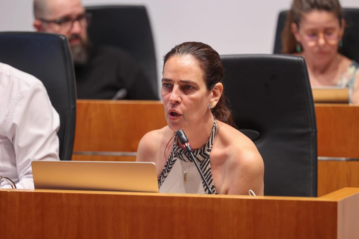 Galería: las imágenes del pleno del Ayuntamiento de Ibiza