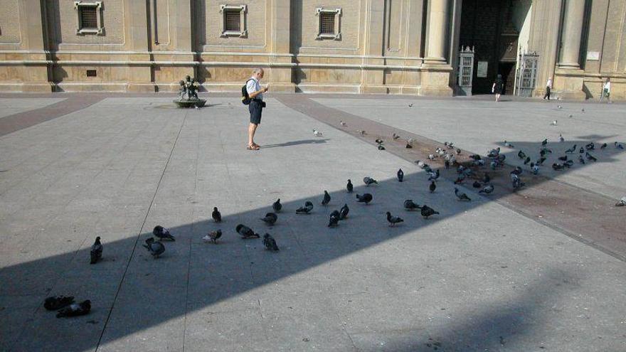 Temperaturas significativamente altas en todo Aragón por la ola de calor