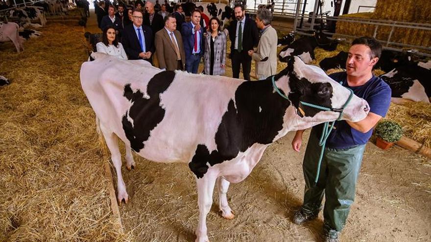 Los productores destacan la estabilidad en el precio de la leche