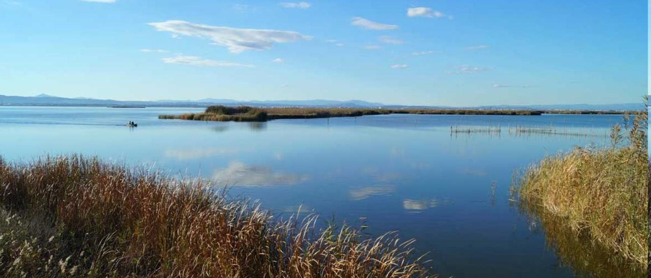 Imagen de archivo de l&#039;Albufera