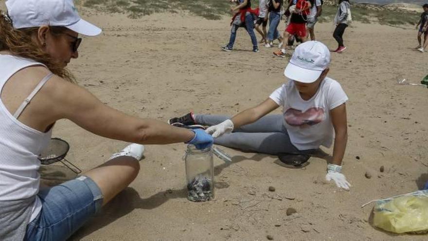Los voluntarios recogiendo residuos este fin de semana en las playas de El Altet.