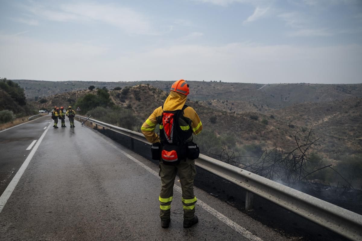 Fotogalería | Así ha sido el incendio forestal en Garrovillas de Alconetar