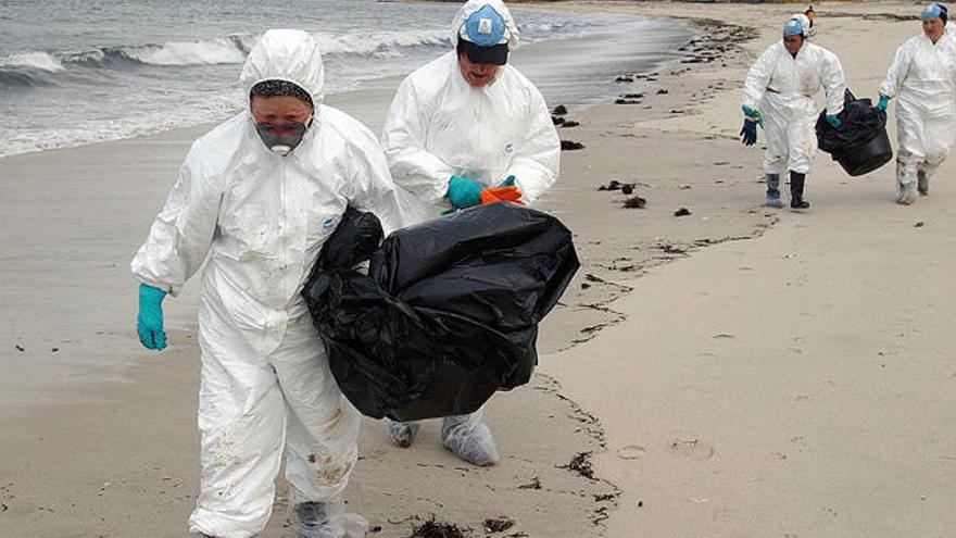 Voluntarias limpiando chapapote en una playa. // Cameselle