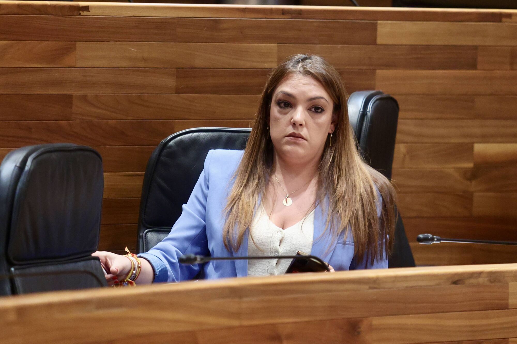Así fue la sesión de control al Gobierno en la Junta del Principado