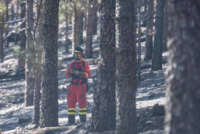 La UME realiza prácticas de prevención de incendios en Gran Canaria