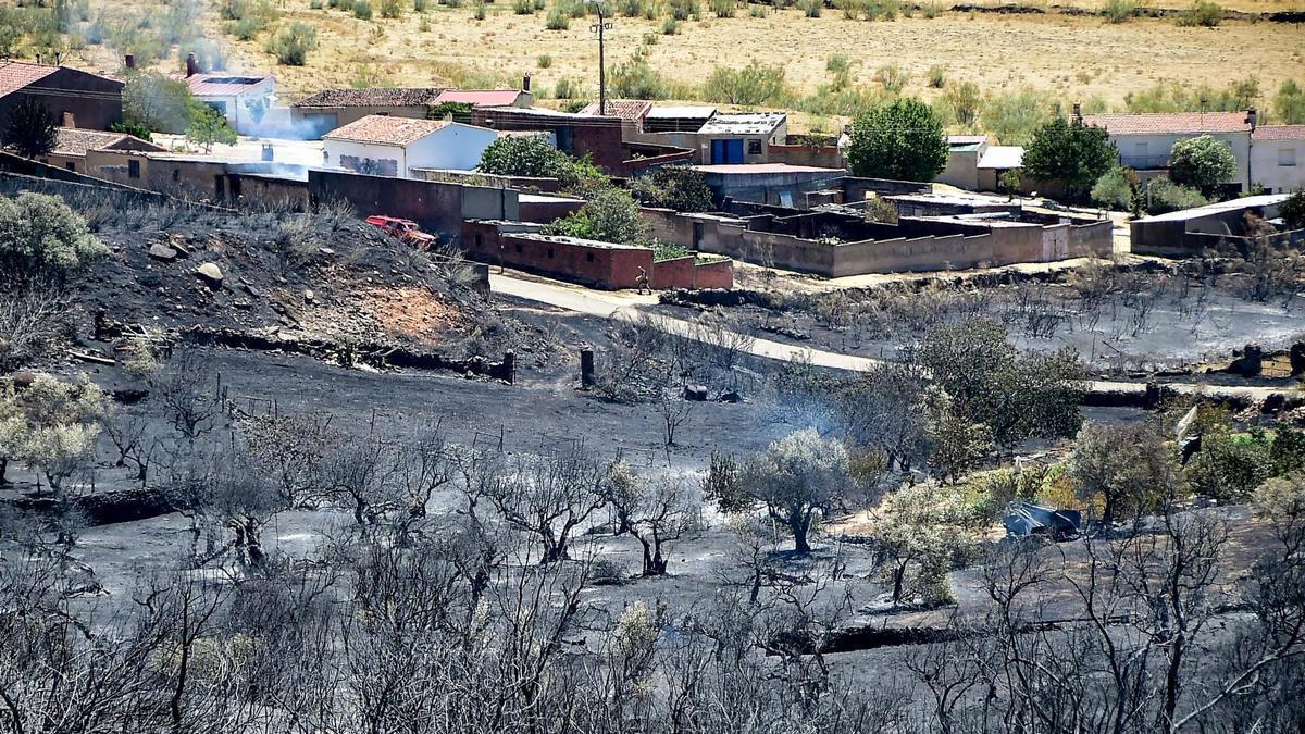 Vídeo | Así se ve el incendio de Casas de Millán desde el municipio