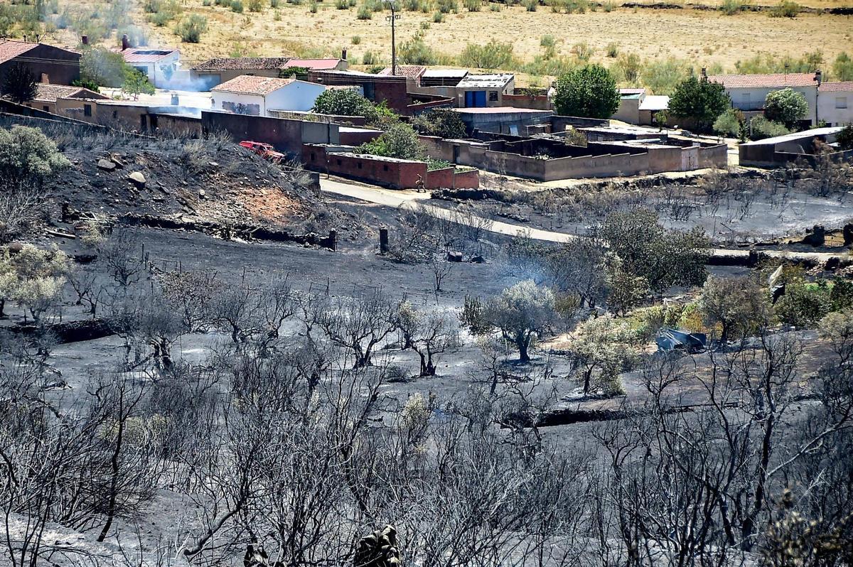 Fotogalería | Así ha quedado la zona de Casas de Millán tras el paso del incendio