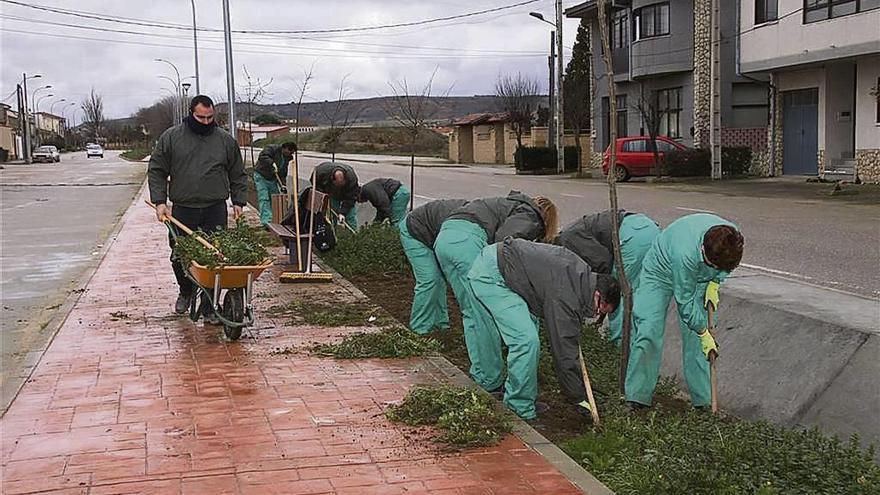 Labores de jardinería llevadas a cabo en una calle de Coreses durante el programa desarrollado en 2015.