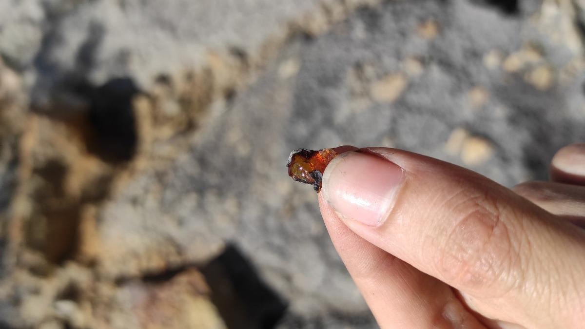 Una de las pequeñas piezas de ámbar localizadas en el yacimiento.