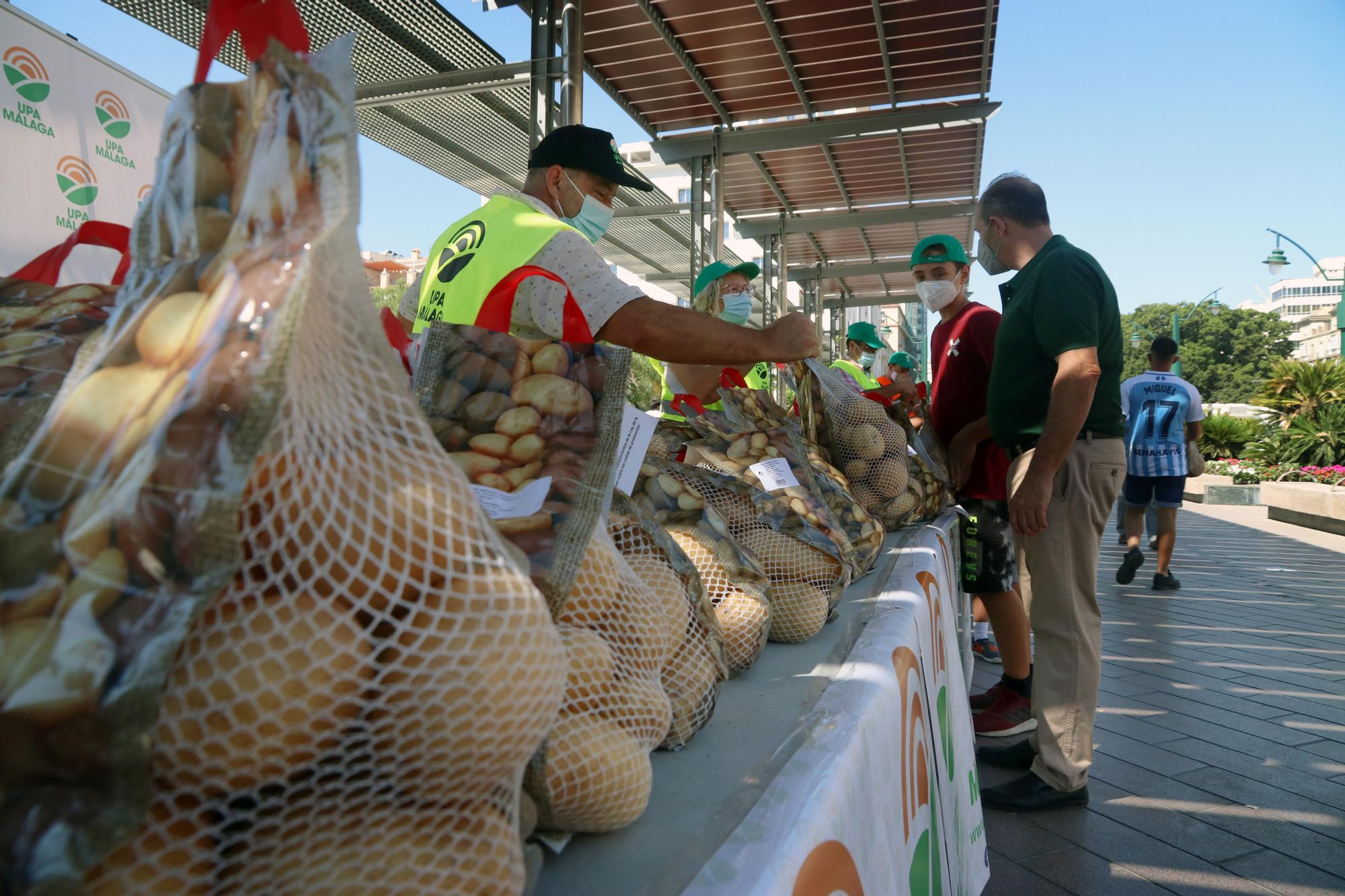 Los agricultores malagueños regalan patatas en protesta por los bajos precios en origen