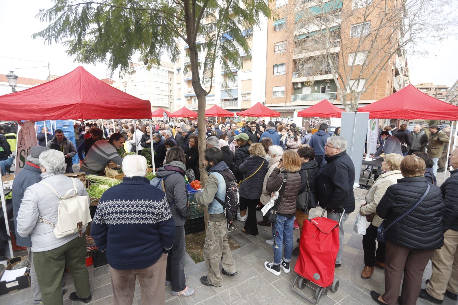 Mercado de proximidad en Patraix