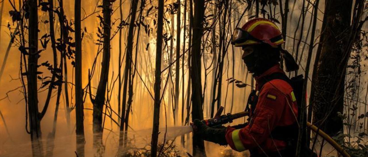 Un bombero combate las llamas en un incendio que afectó al concello de Toén. |   // BRAIS LORENZO
