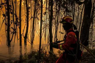 La Policía “espía” por tierra y con drones a 40 incendiarios en zonas forestales de alto riesgo
