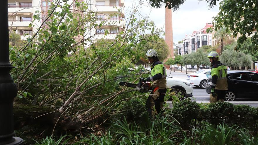 El temporal de lluvia y viento deja dos heridos y más de 250 incidencias en la capital y la provincia