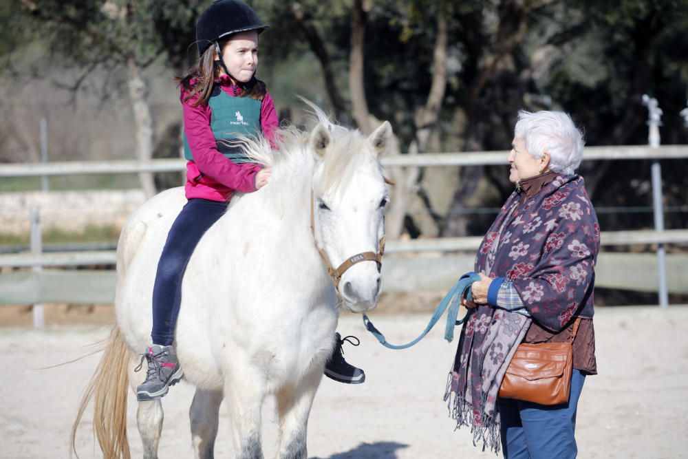 Großeltern und Enkel auf dem Pferd