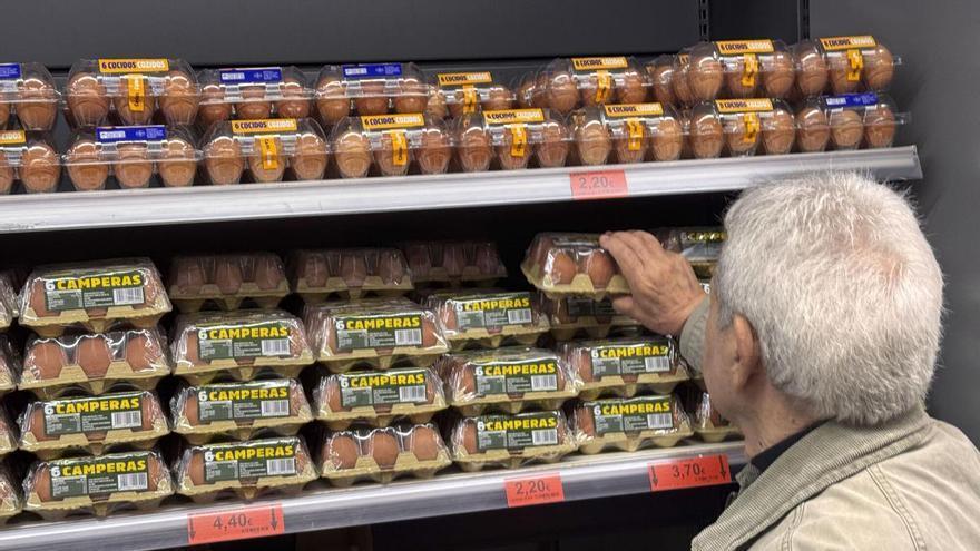 La gripe aviar impulsa al alza el precio del huevo tras sacrificar 2,7 millones de aves