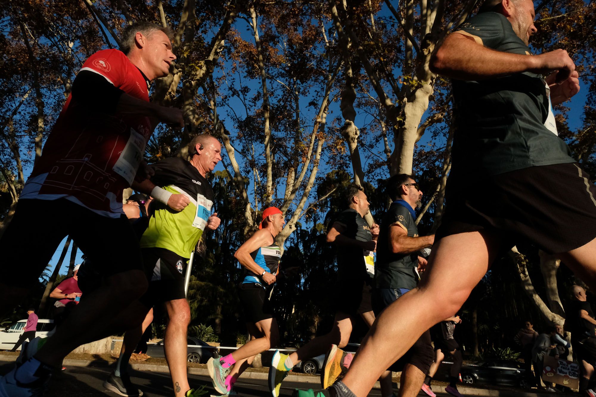 La Maratón de Málaga 2023, en imágenes