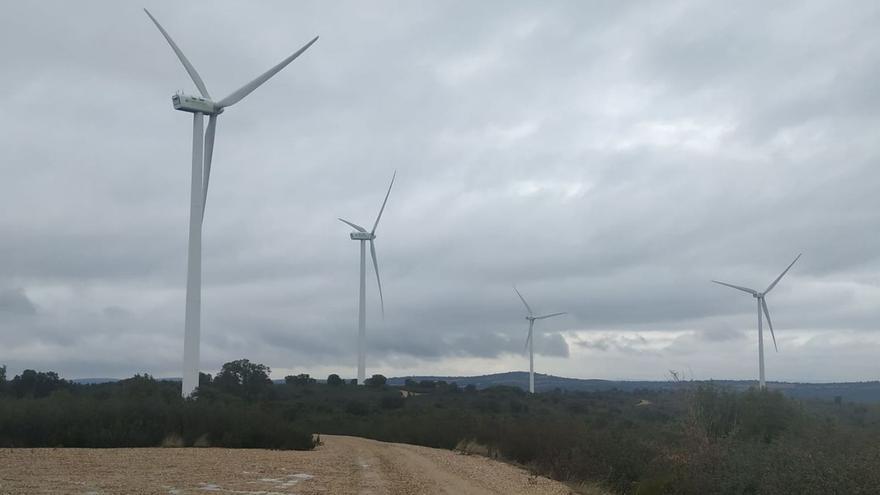 Cuando el dinero sí viene del aire: Los parques eólicos en la Zamora rural