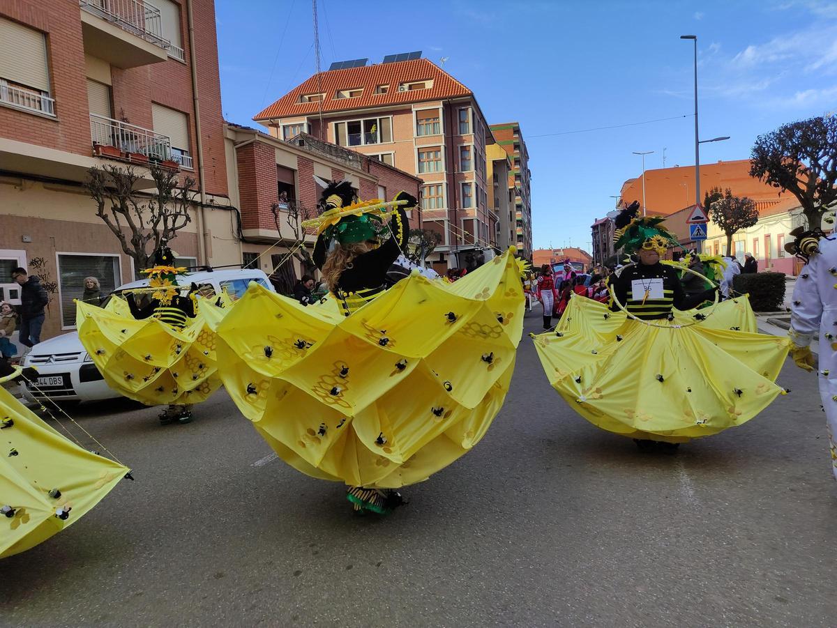 Desfile de Carnaval del pasado año.