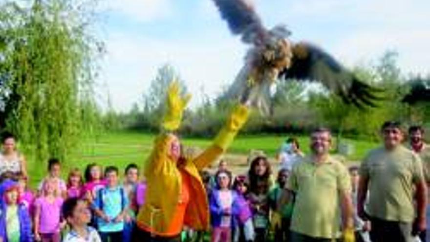 SUELTA DE OCHO MILANOS REALES EN EL DÍA DE LAS AVES