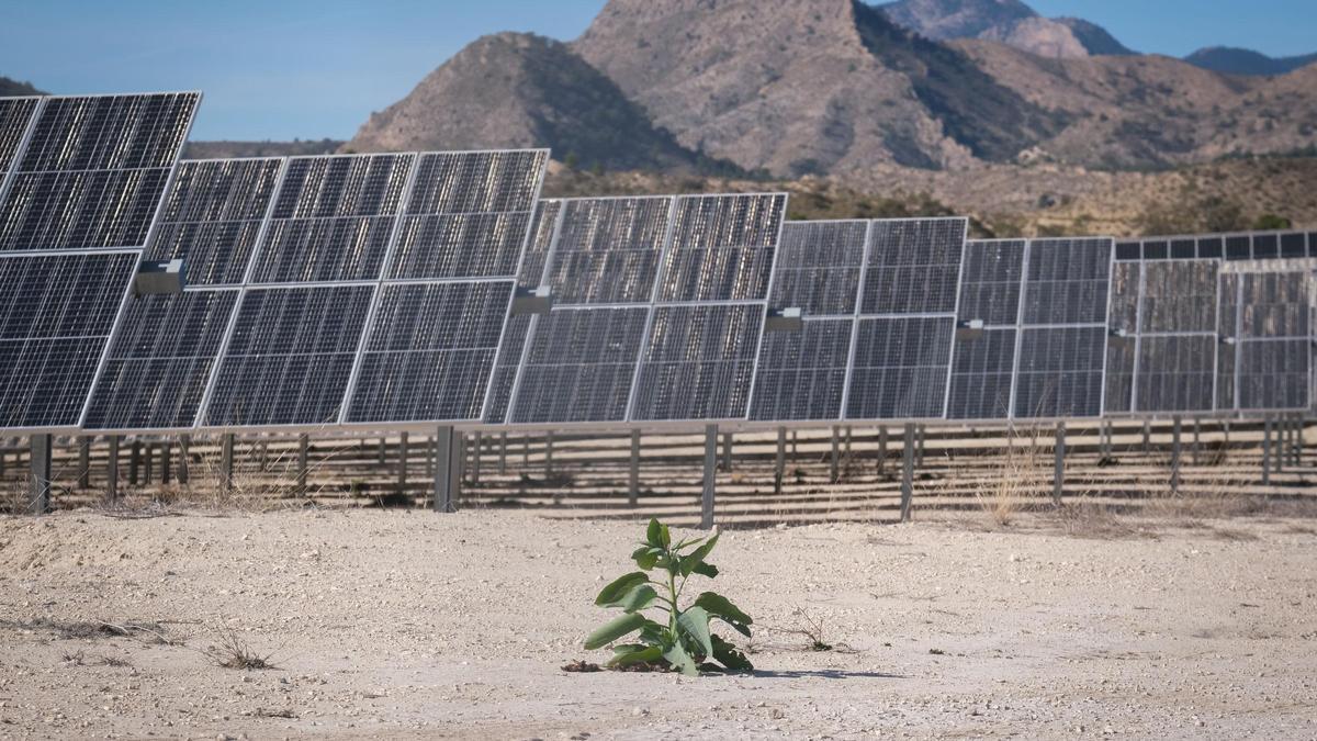 Una planta solar en la provincia de Alicante