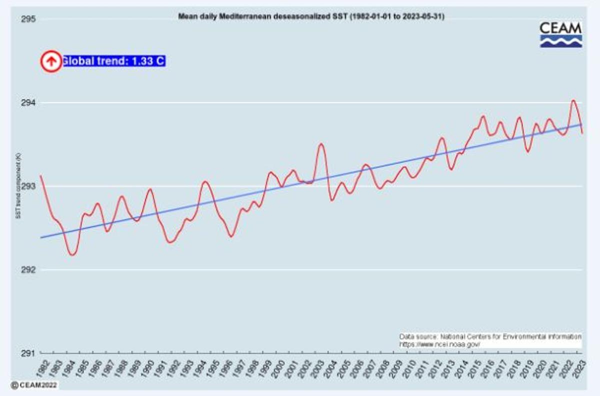 El aumento de la temperatura del Mediterráneo por años