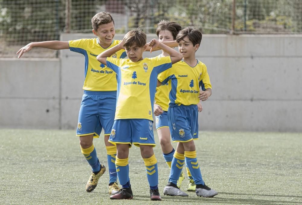 Las Palmas-Arucas (benjamines)