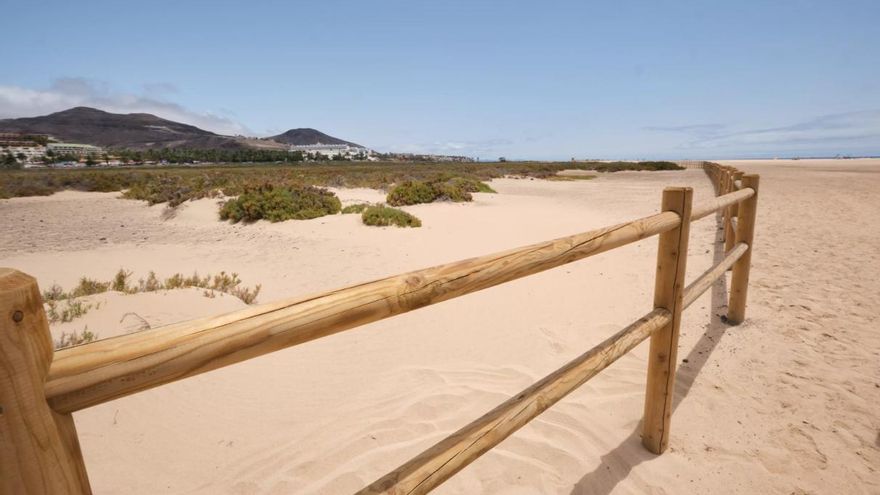 Fuerteventura renueva casi 1.000 metros de vallado para proteger el Saladar de Jandía