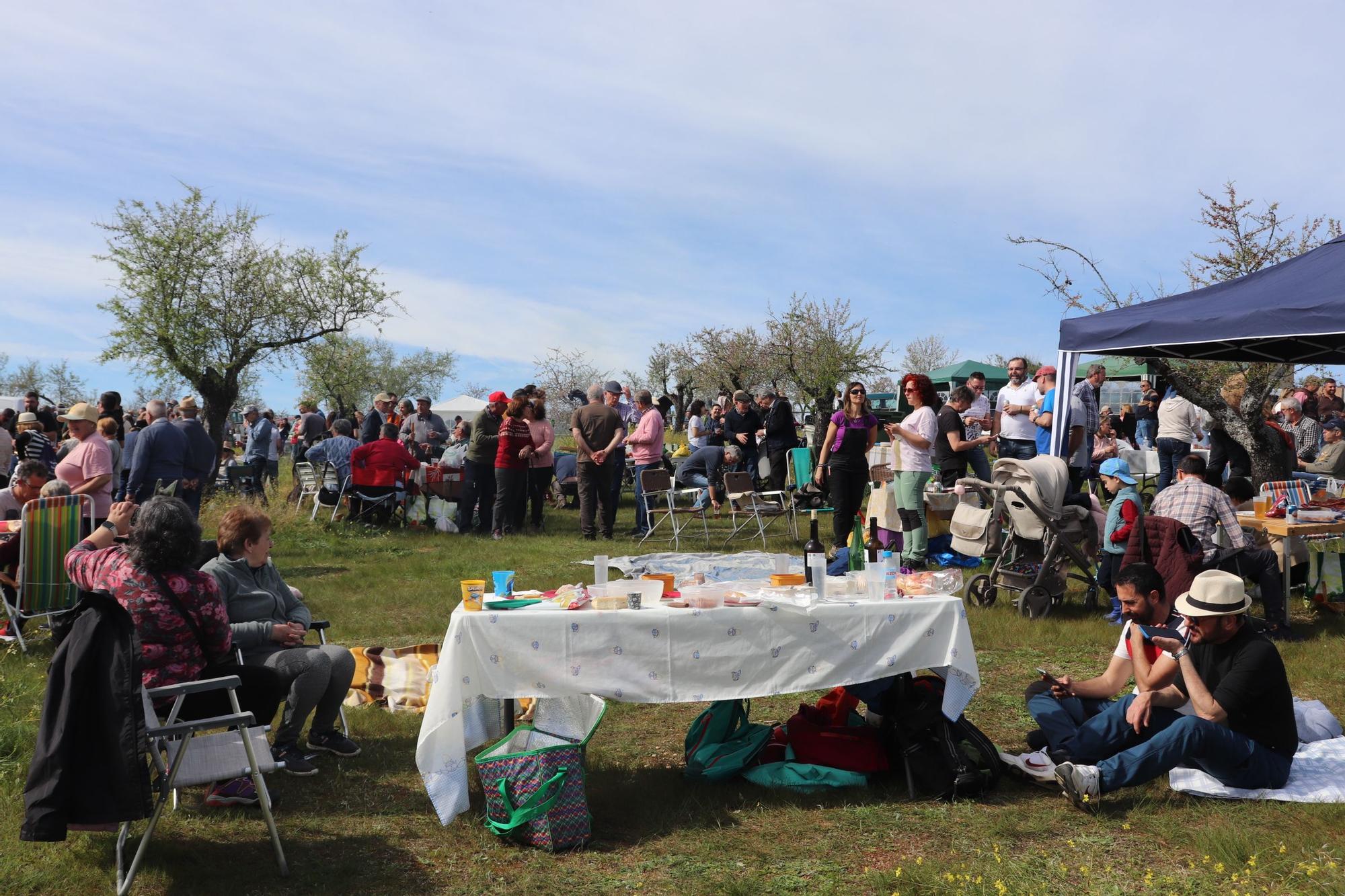 El Almendro en Flor reúne a 2.000 participantes en el paraje Gallito