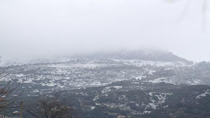 La nieve llega a la sierra de Cabra y la Subbética en Córdoba