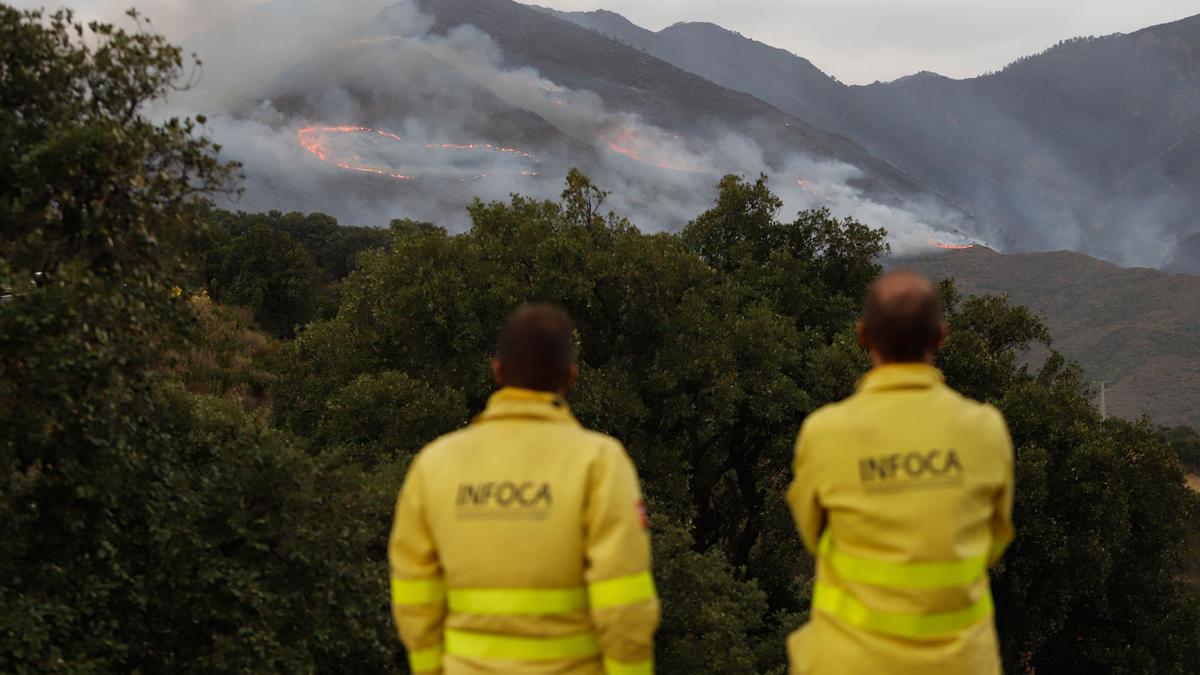 El incendio, visto desde un mirador de Casares.