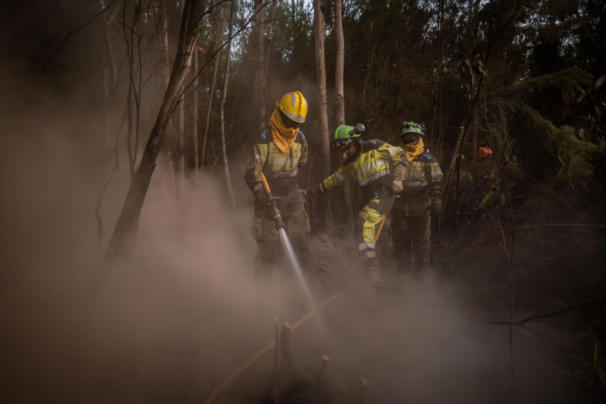 Labores de enfriamiento en Ravelo del incendio de Tenerife