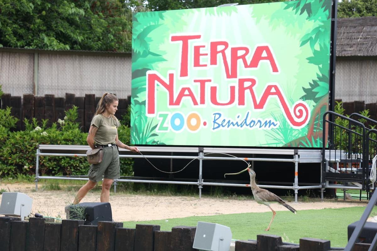 El foro Creciendo Juntos en TERRA NATURA, en imágenes