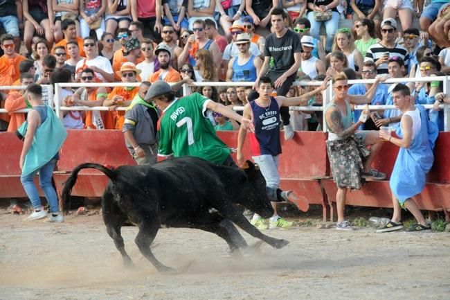 Les vaquetes de la festa major de Santpedor