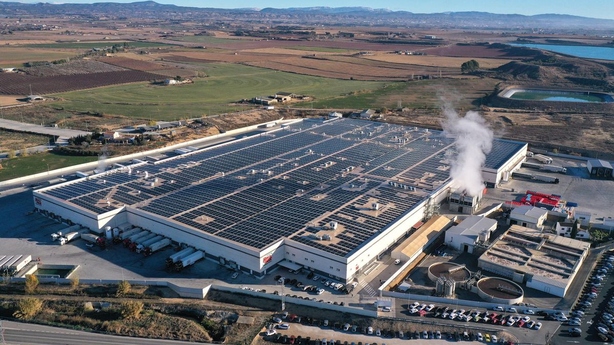 Implantada desde hace 6 años en Aragón, Litera Meat forma parte de Grupo Pini, ‘holding’ cárnico con más de 40 años en el sector.