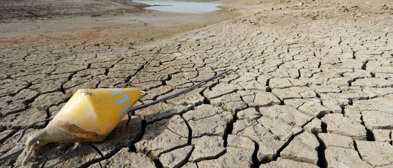 Los técnicos de las distintas administraciones se enfrentan a un escenario desconocido en La Viñuela.