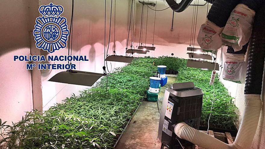 Dos de los inmuebles donde se cultivaba la marihuana. | POLICÍA