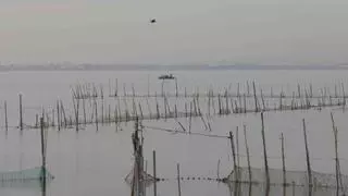 La Reserva de la Biosfera de l’Albufera sumará 44.729 hectáreas en tres áreas