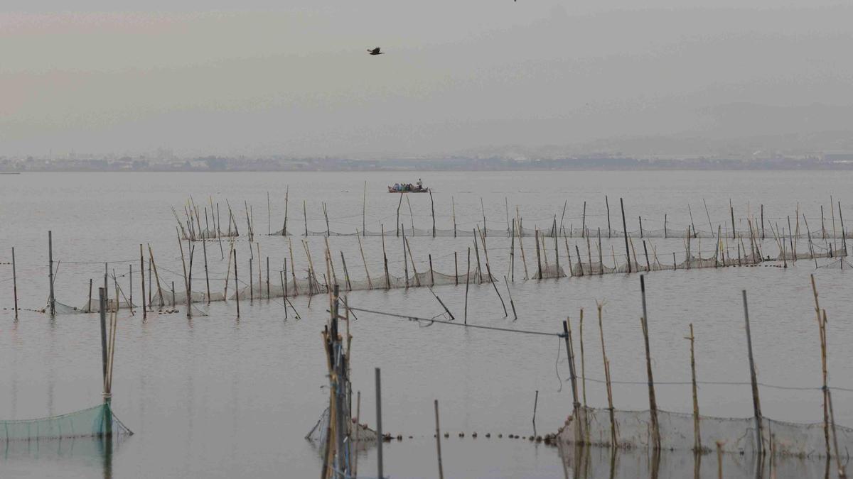 Imagen panorámica de l'Albufera de València