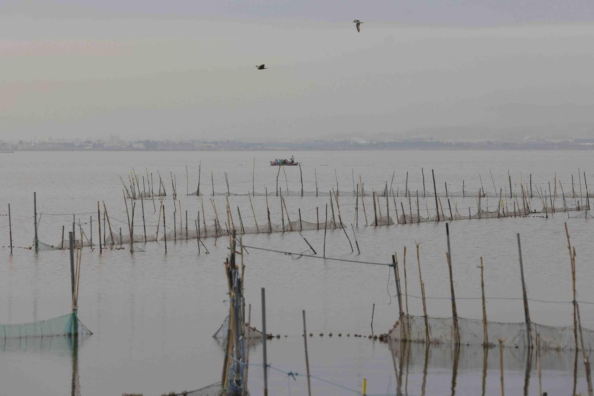 Paeos en barca en la Albufera