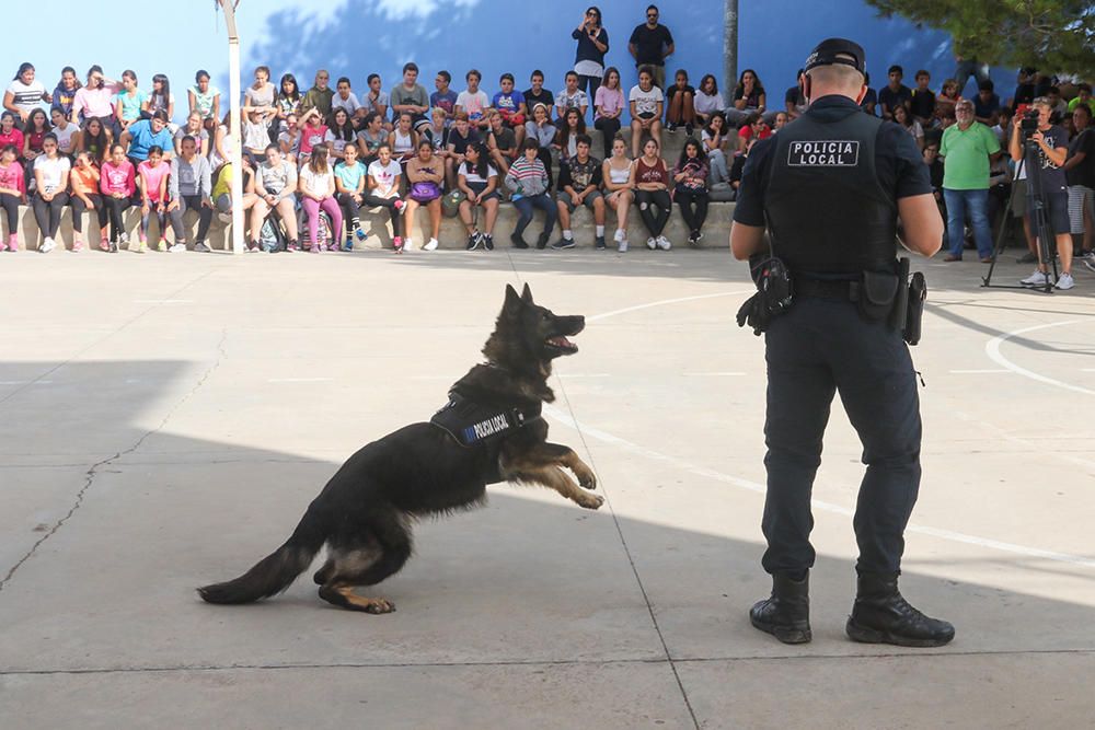 Agentes de Sant Antoni muestran a los alumnos las habilidades de la perra para detectar droga.