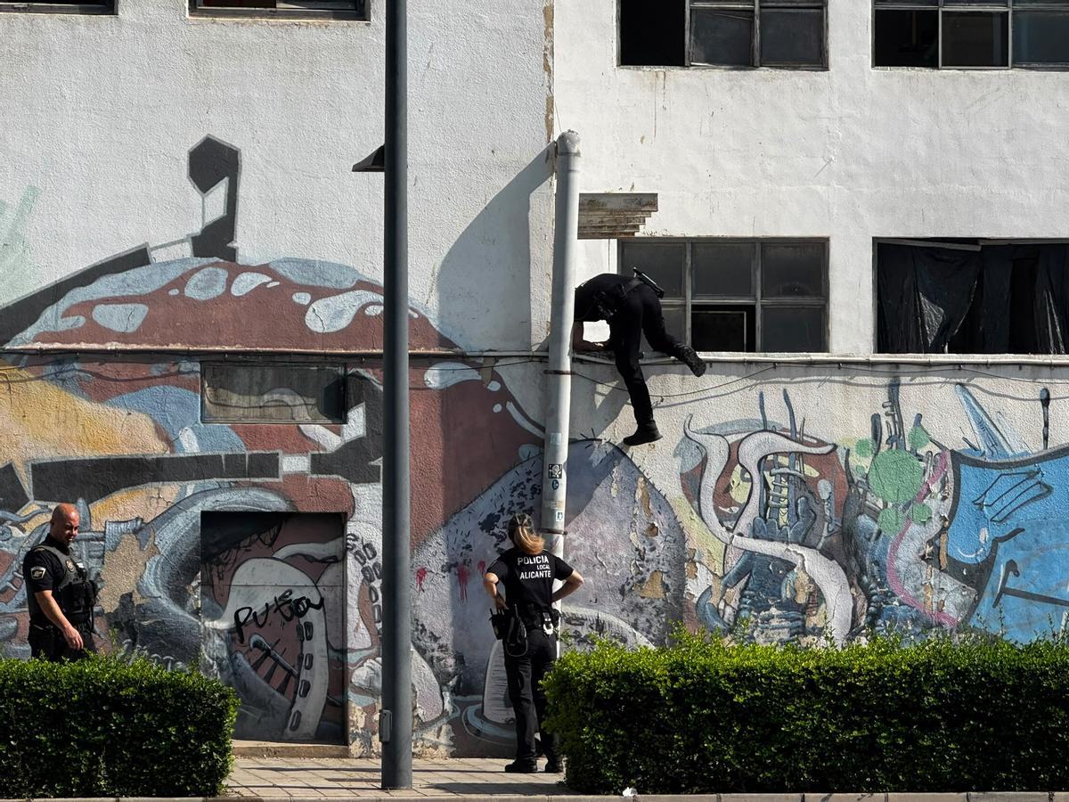 Agentes de la Policía Local intervienen en las harineras de Benalúa Sur, en Alicante.