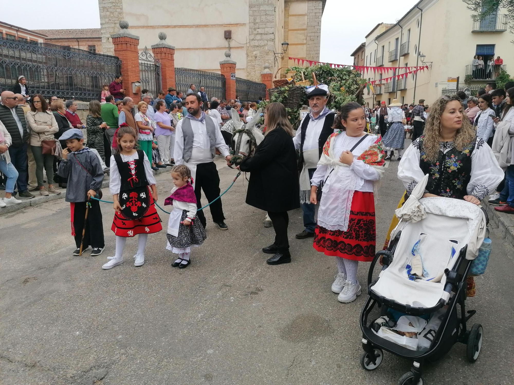 GALERÍA | Toro recrea la vendimia tradicional en el desfile de carros